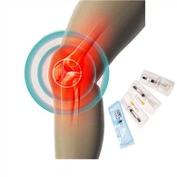 Asid Hyaluronik Tidak Berpaut silang